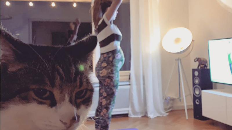 Schwangere nimmt an WohnzimmerPilates teil